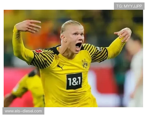 哈兰德伤病与出勤率分析：高强度赛季下的持续性评估